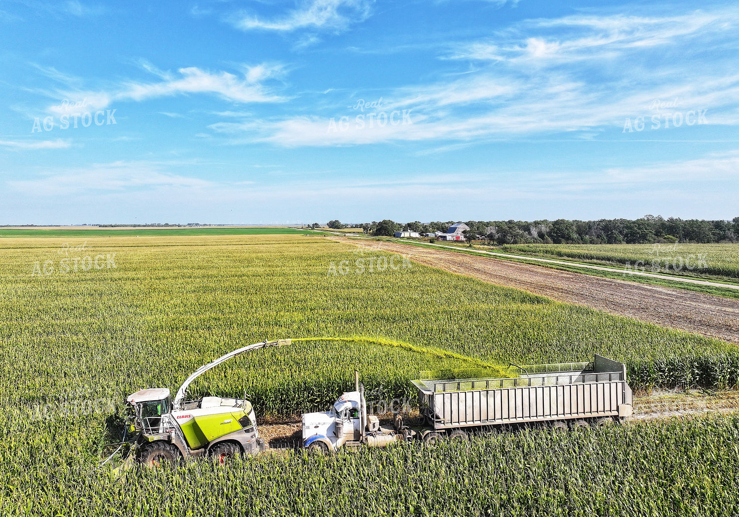 Aerial of Corn Silage Harvest 141397