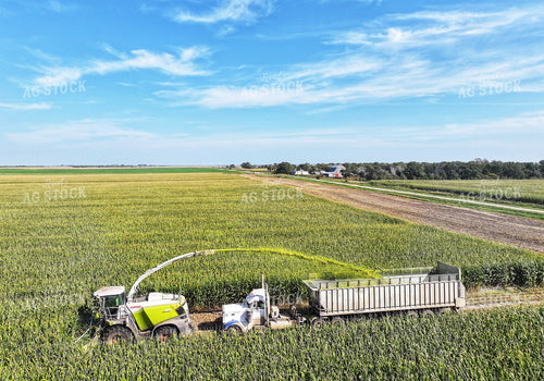 Aerial of Corn Silage Harvest 141397