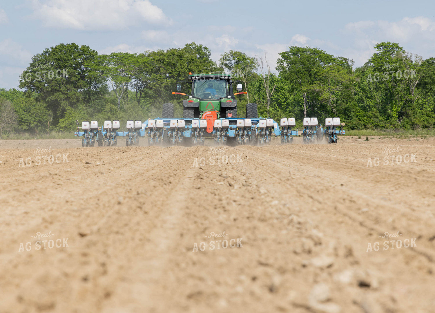 Planting 79636