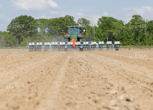 Planting 79636
