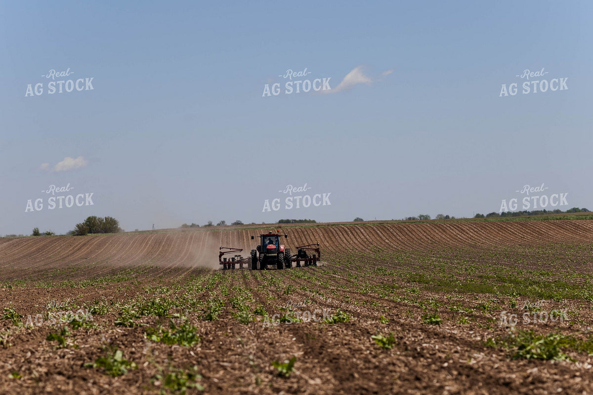 Case IH Tractor Pulls Planter Across Open Farmland in Spring 409006