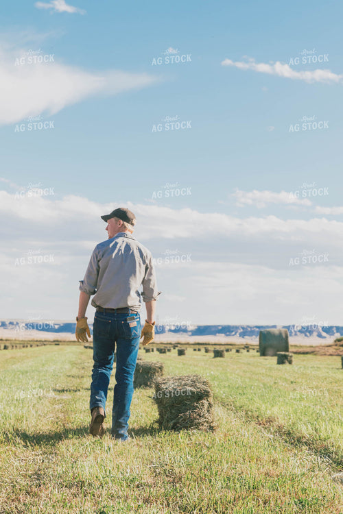 Farmers Racking Square Bales 61054