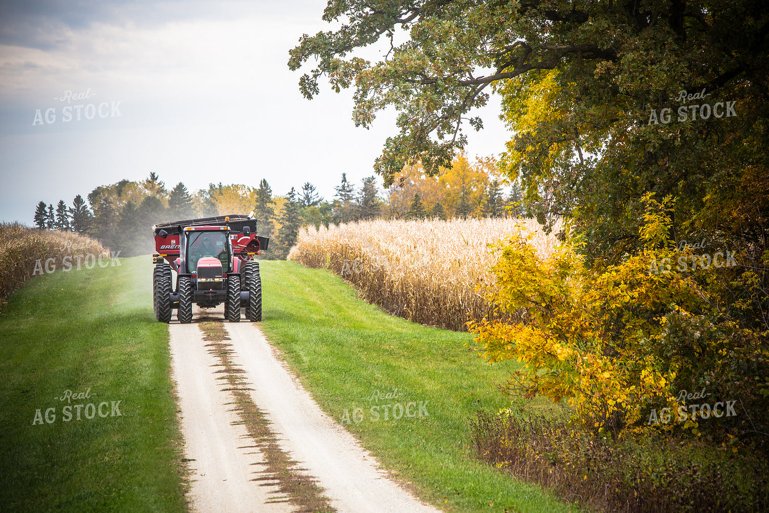 Tractor Moving Fields 250080