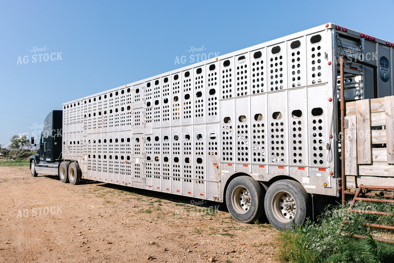 Livestock Trailer 278012
