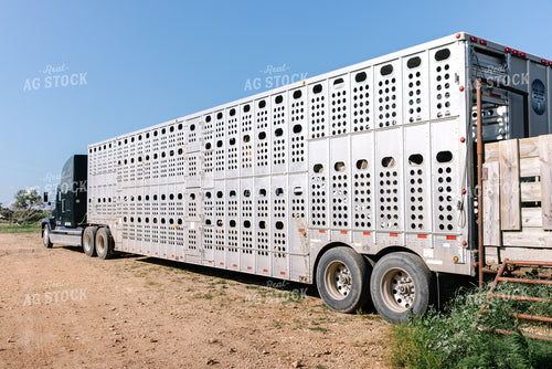Livestock Trailer 278012