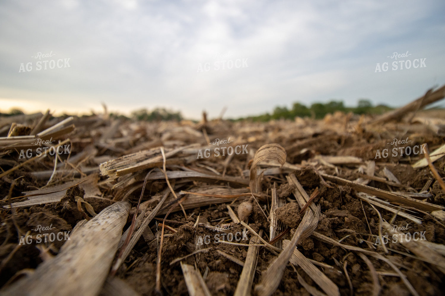 Crop Residue 52138