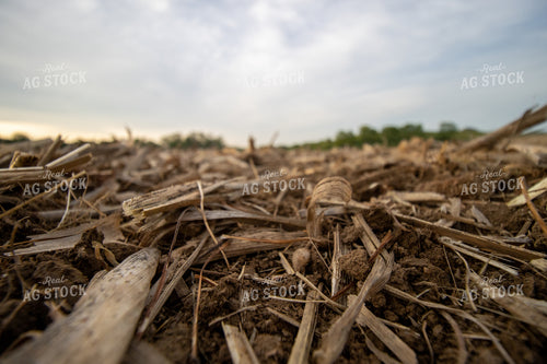 Crop Residue 52138