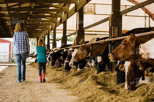 Dairy 2695