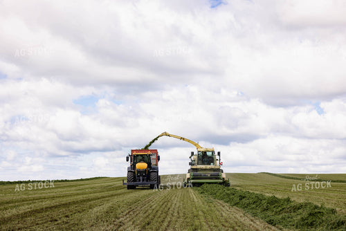 Harvesting Hay Silage 152454