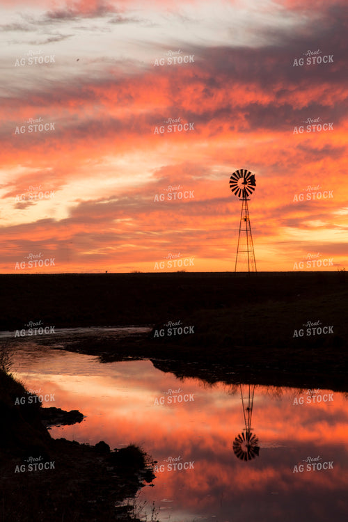 Farmland at Sunset 93097