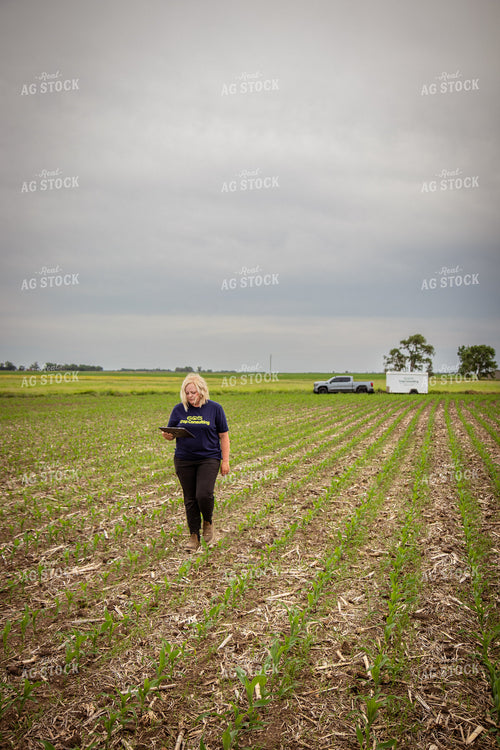 Female Agronomist Scouting Field 67756