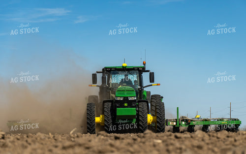 Planting 65219