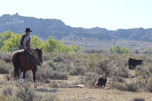 Man Riding Horse 63024