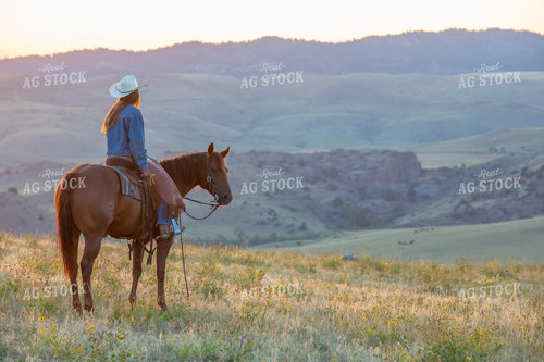 Cowgirl on Horseback 290050