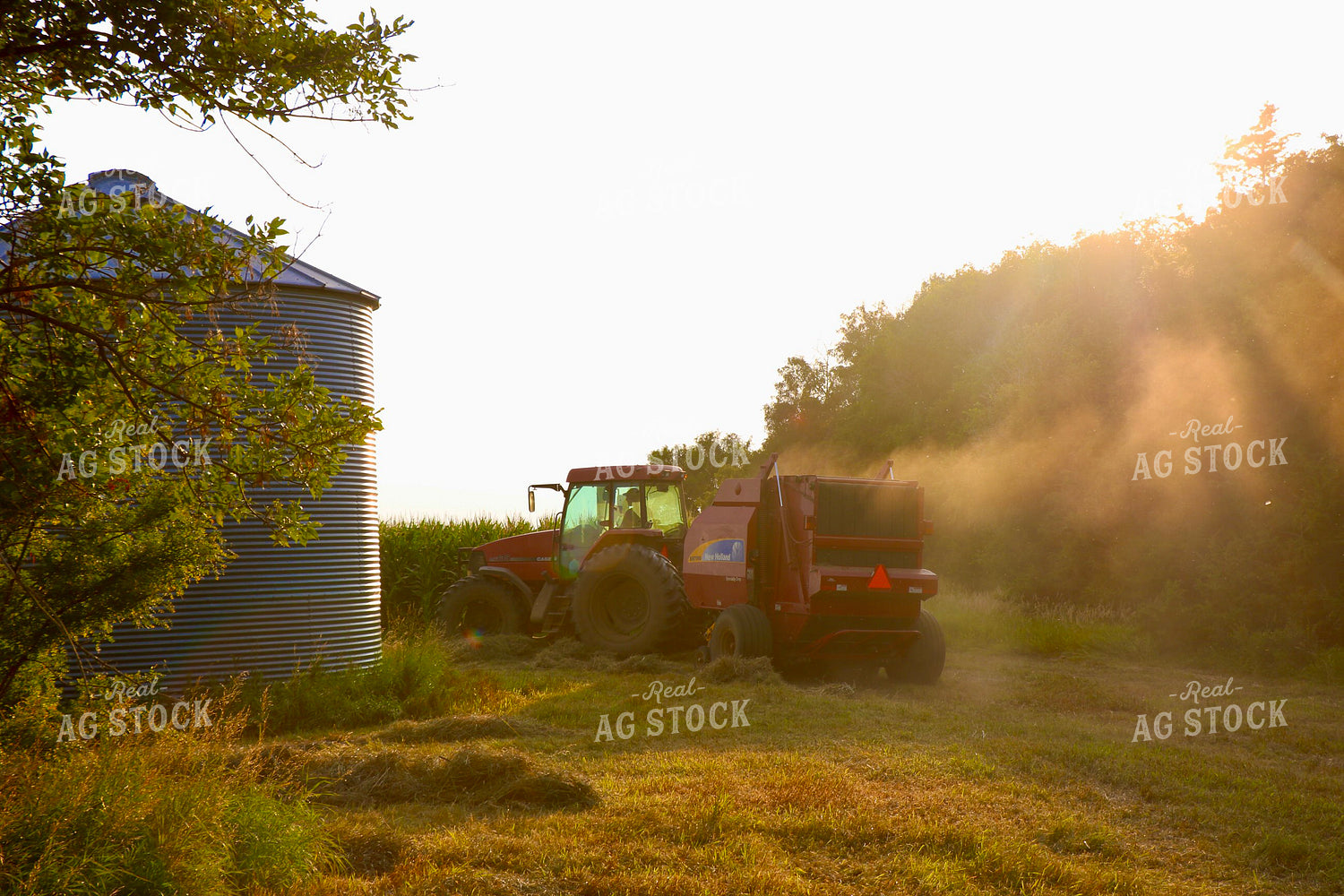 Baling Hay 299250