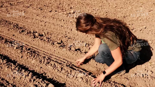 Checking Seed Depth 2951