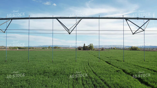 Winter Wheat and Irrigation Equipment 65713