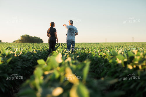 Agronomist and Farmer Scouting Soybean Field 6115