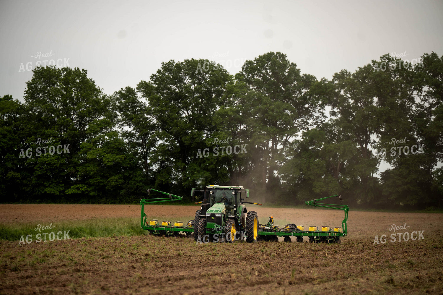 Planting 115676