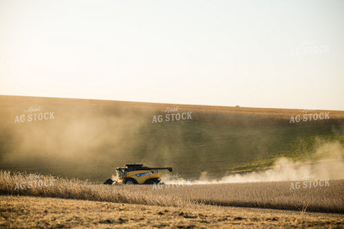 Soybean Harvest 215126