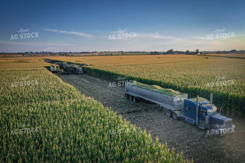 Silage Harvest Drone 56242
