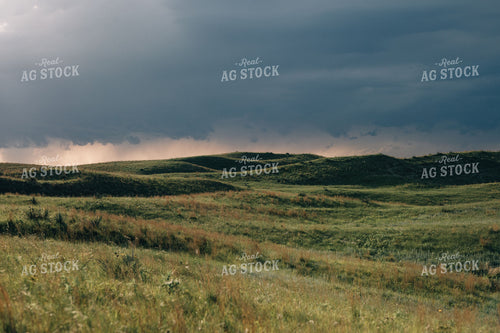 Sand Hills Pasture 53018