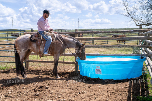 Horse and Rider Resting by Water Trough in Rural Ranch Setting 65353