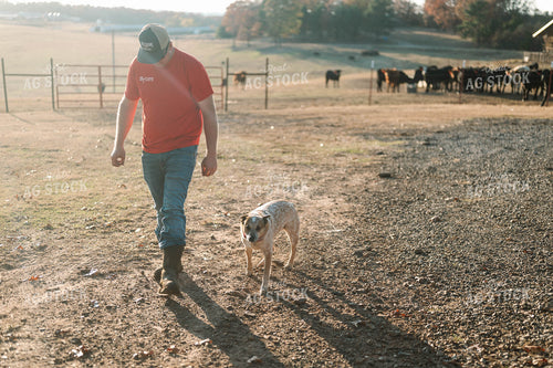 Farmer Walking by Pasture 125219