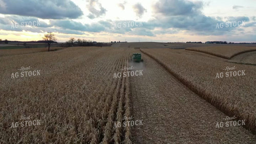Aerial of Corn Harvest 250035
