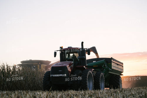 Nebraska Corn Harvest 70011