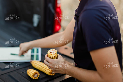 Female Agronomist Checking Corn 8350