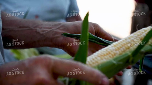 Family Shucking Sweet Corn - 249