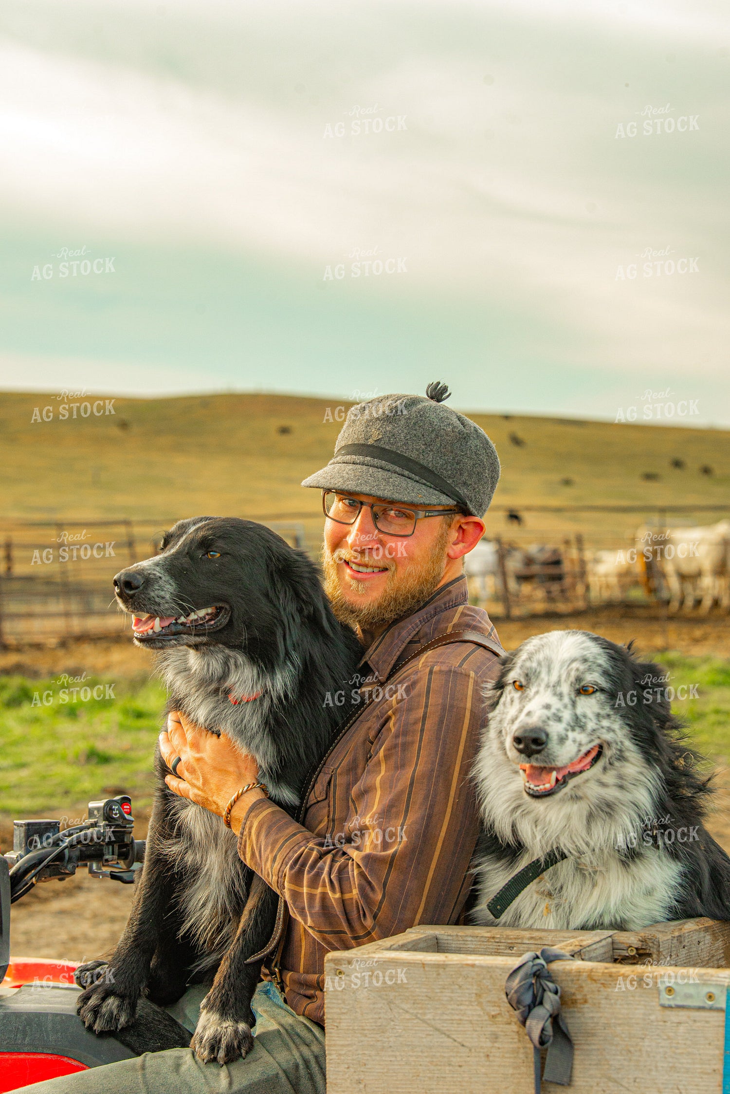 Rancher with Dogs 299001