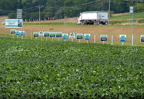 Soybean Plot 154083