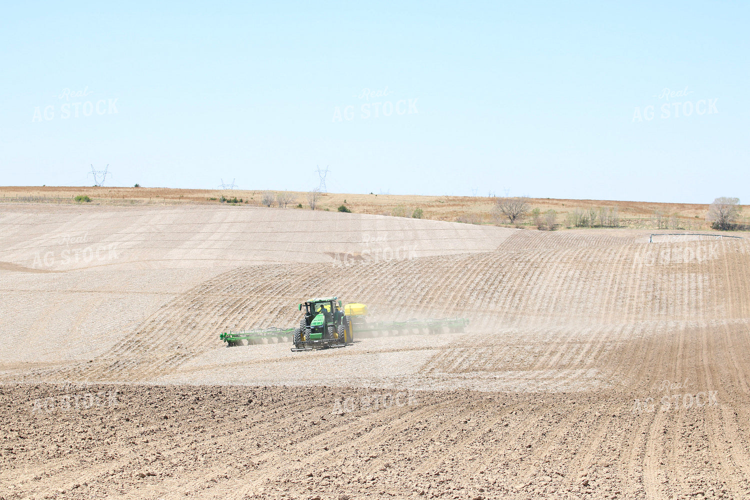 Planting 82433