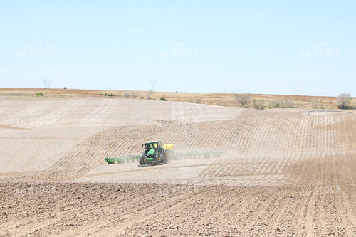 Planting 82433