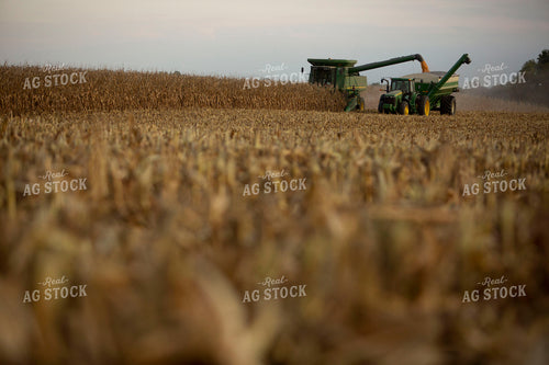 Harvest 1732