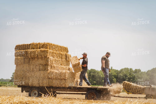 Baling Hay 115003