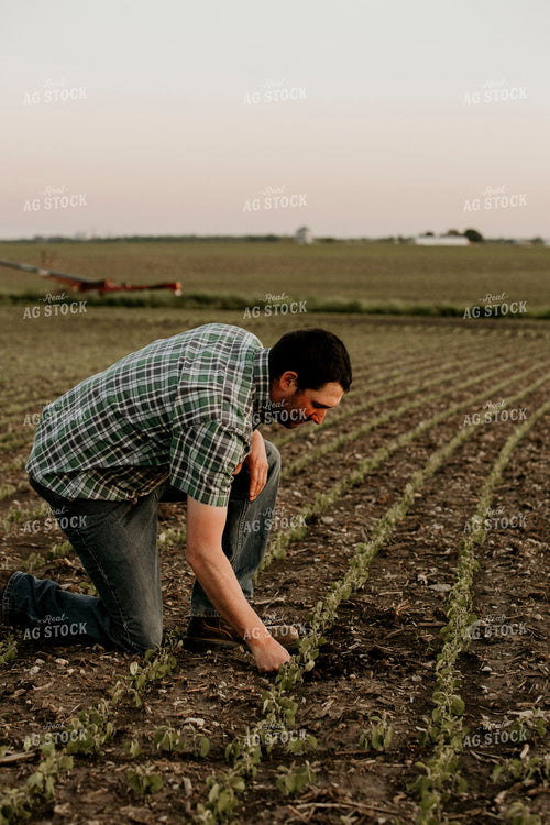 Farmer 2938