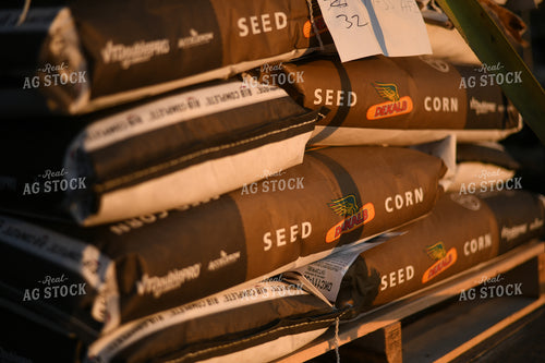 Seed Corn Bags 191004