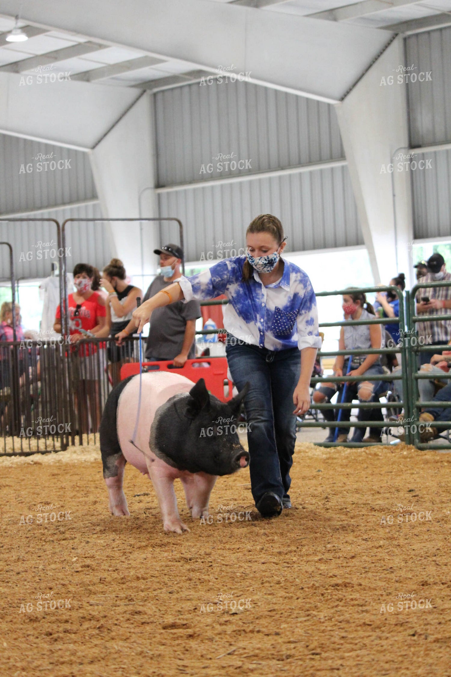 4H Pig Show with Masks 52042
