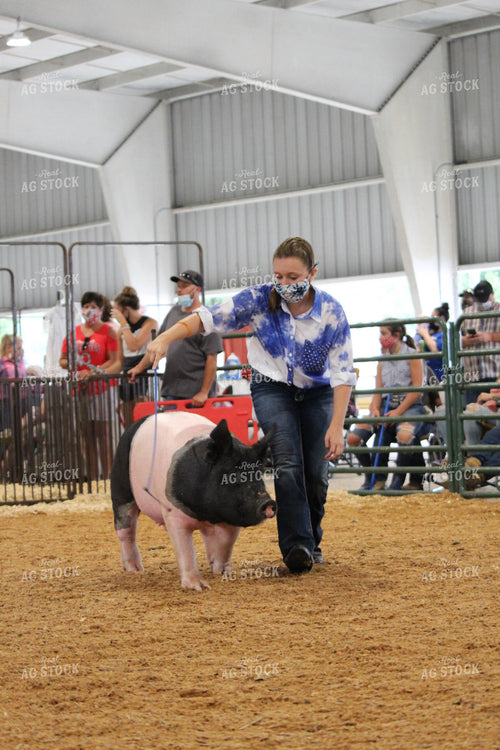 4H Pig Show with Masks 52042
