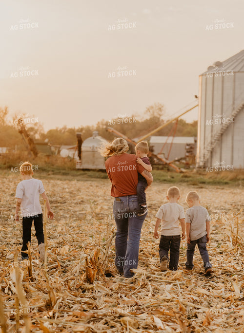 Farm Family Visit During Corn Harvest 185131