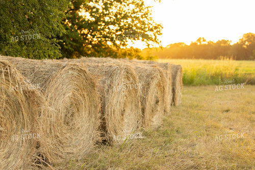 Hay Bale 143025