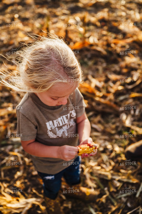 Farm Kid Playing in Corn Field 115380