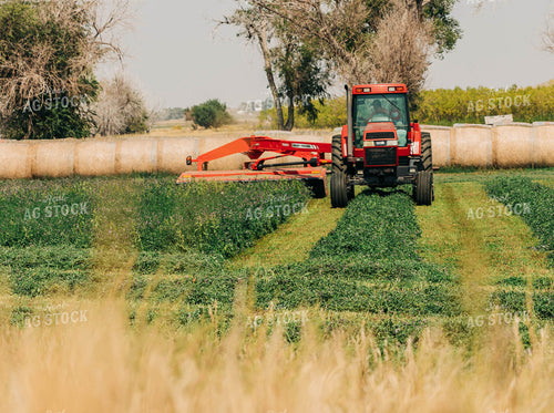 Mower Conditioner in Hay Field 61046