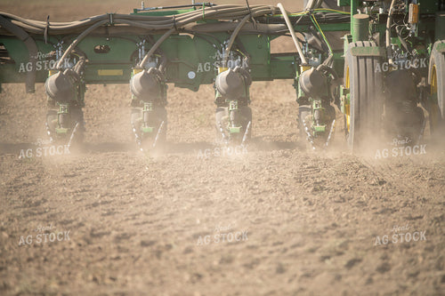Planting 86043