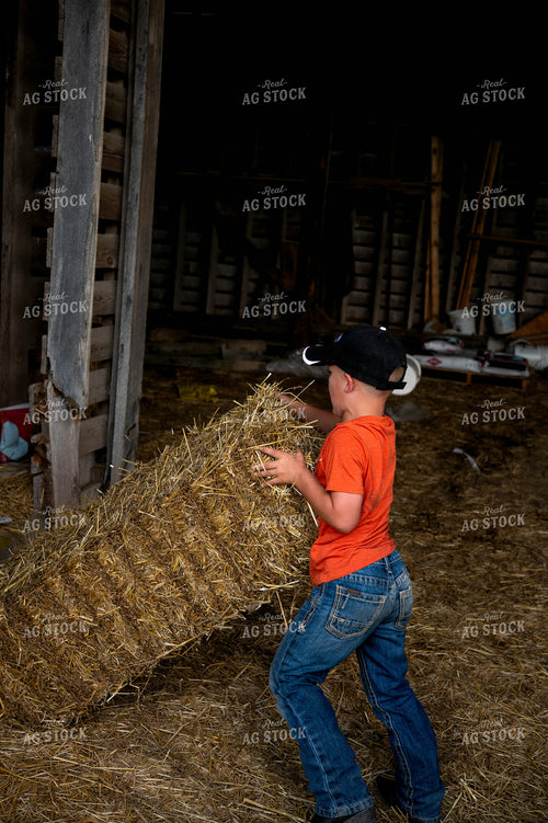 Farm Kid Moving Hay Bale 115821