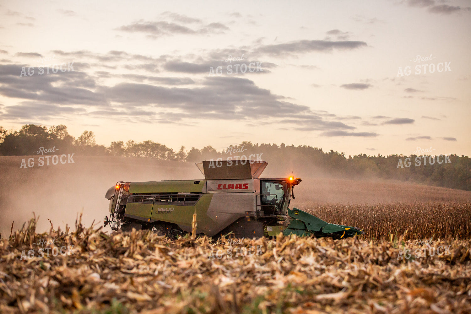 Corn Harvest 270632