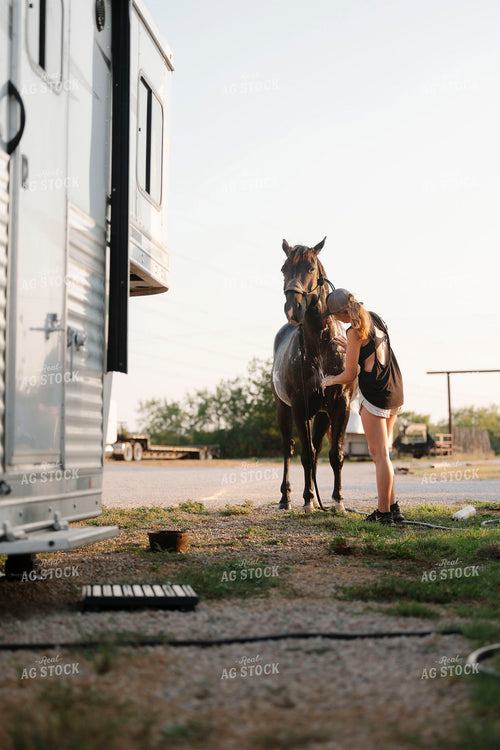 Washing Horse 205107